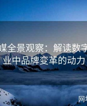 麻豆传媒全景观察：解读数字内容产业中品牌变革的动力