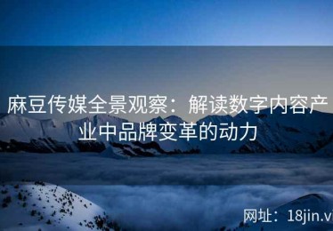 麻豆传媒全景观察：解读数字内容产业中品牌变革的动力