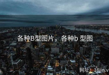 各种B型图片，各种b 型图