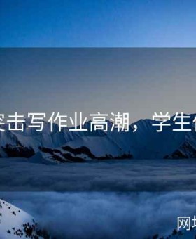 学生突击写作业高潮，学生做作业