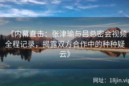 《内幕直击：张津瑜与吕总密会视频全程记录，揭露双方合作中的种种疑云》