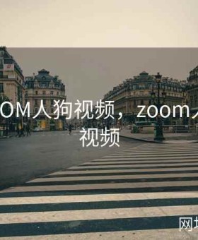 美国ZOOM人狗视频，zoom人狗app视频