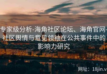 专家级分析-海角社区论坛、海角官网-社区舆情与意见领袖在公共事件中的影响力研究