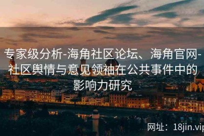 专家级分析-海角社区论坛、海角官网-社区舆情与意见领袖在公共事件中的影响力研究
