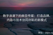 数字浪潮下的麻豆传媒：打造品牌、内容与技术协同创新的新模式