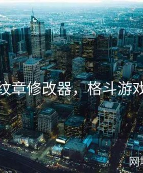 格斗纹章修改器，格斗游戏魔改