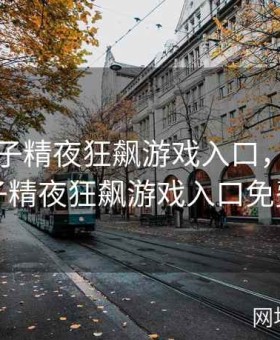 八重神子精夜狂飙游戏入口，八重神子精夜狂飙游戏入口免费