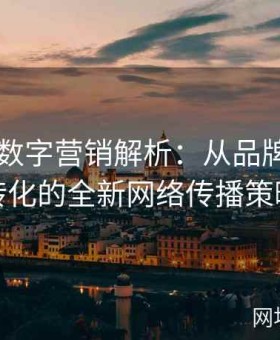 91官网数字营销解析：从品牌定位到用户转化的全新网络传播策略研究