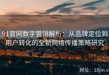 91官网数字营销解析：从品牌定位到用户转化的全新网络传播策略研究