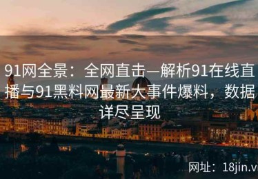 91网全景：全网直击—解析91在线直播与91黑料网最新大事件爆料，数据详尽呈现