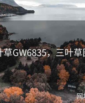 三叶草GW6835，三叶草图片
