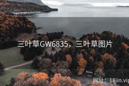 三叶草GW6835，三叶草图片