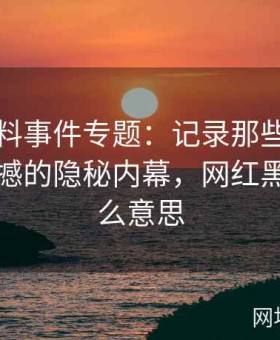 网红黑料事件专题：记录那些年娱乐圈最震撼的隐秘内幕，网红黑料是什么意思