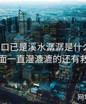 桃花洞口已是溪水潺潺是什么意思，下面一直湿漉漉的还有救吗