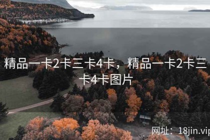精品一卡2卡三卡4卡，精品一卡2卡三卡4卡图片