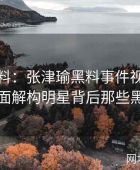深度爆料：张津瑜黑料事件视频全解析，全面解构明星背后那些黑暗交易