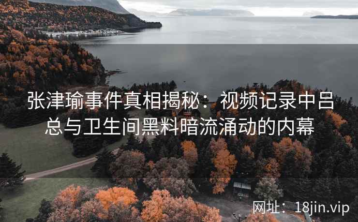 张津瑜事件真相揭秘：视频记录中吕总与卫生间黑料暗流涌动的内幕