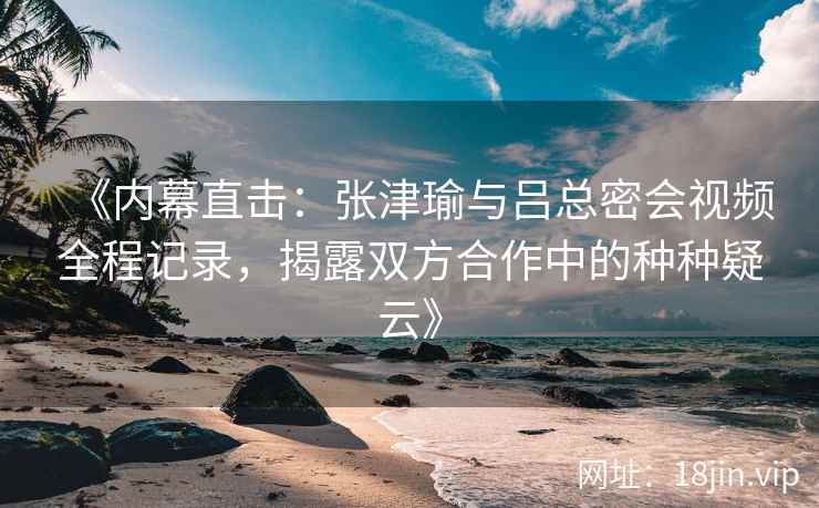 《内幕直击：张津瑜与吕总密会视频全程记录，揭露双方合作中的种种疑云》