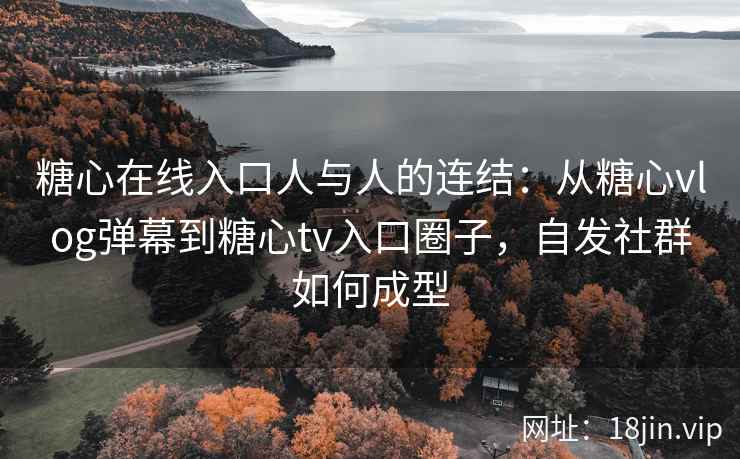 糖心在线入口人与人的连结：从糖心vlog弹幕到糖心tv入口圈子，自发社群如何成型