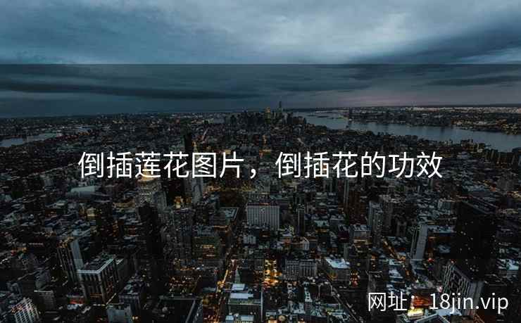 倒插莲花图片，倒插花的功效